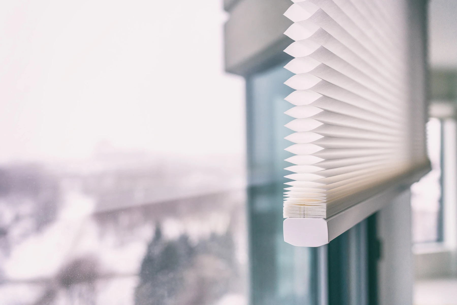 copy-of-adobestock_246767624.jpeg