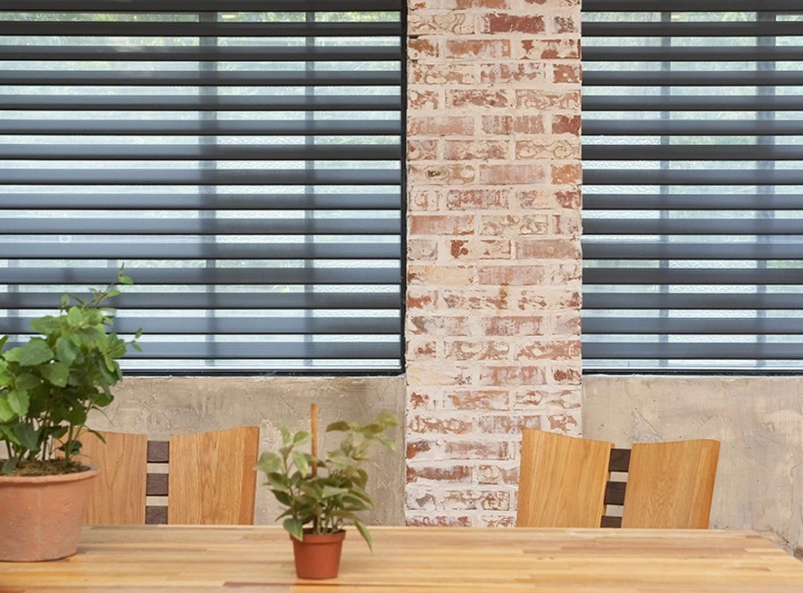 indoor-designer-ecoluxe-12.jpg