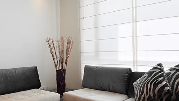 Indoor Blinds